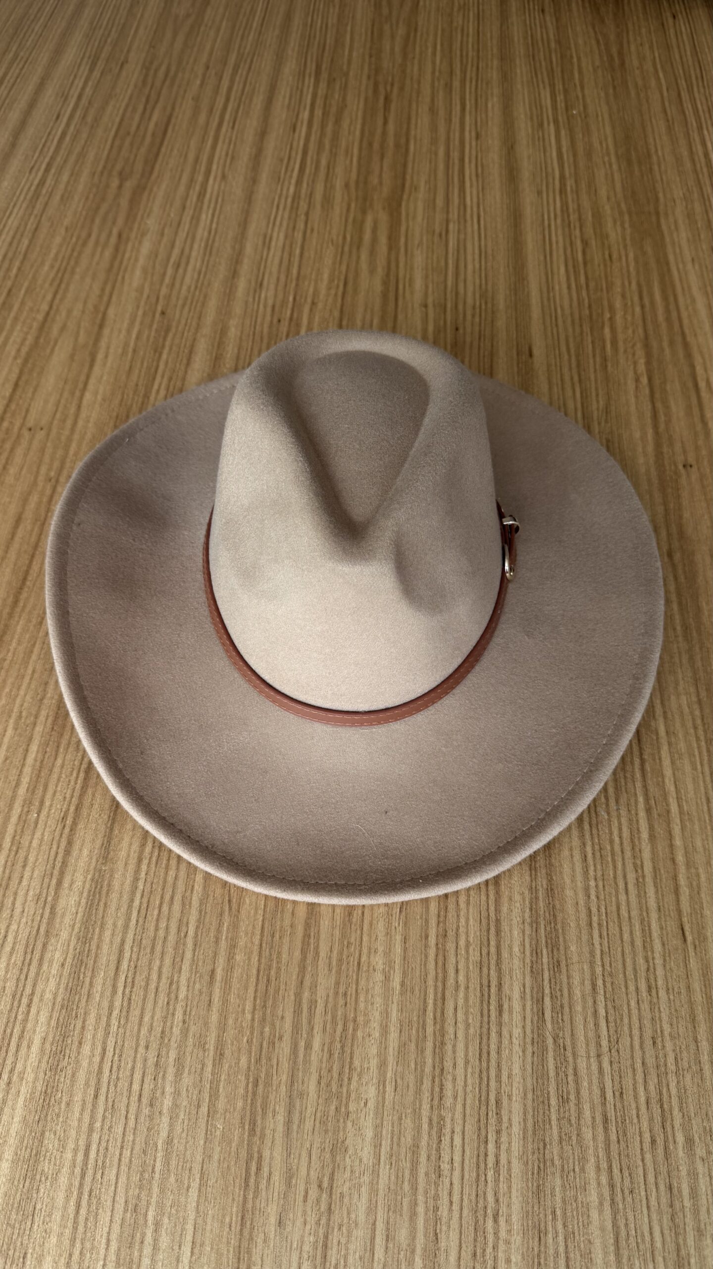 IMG_6753 Chapéu de Feltro Nude - Imagem 1
