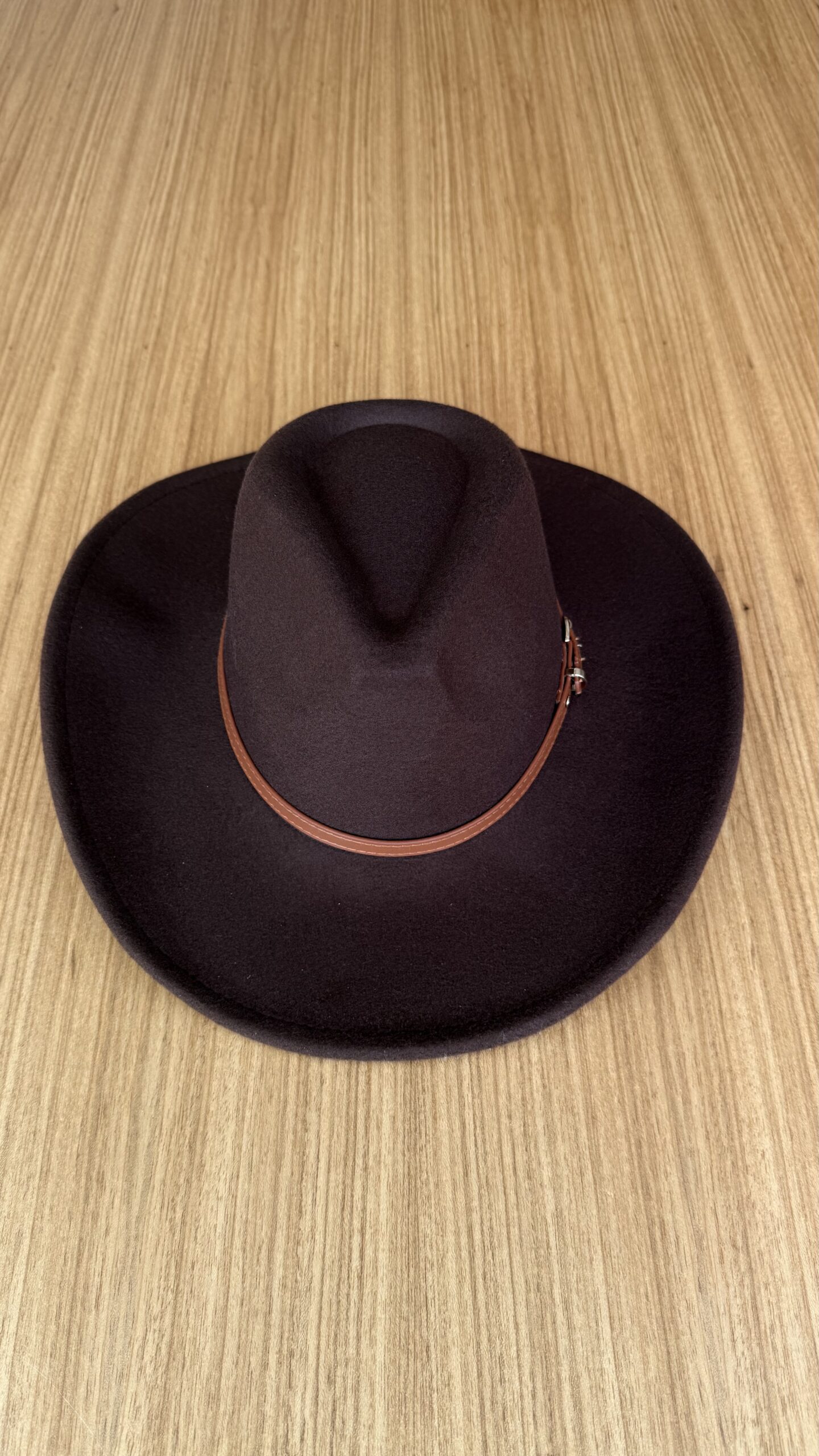 IMG_6756 Chapéu De Feltro Café - Imagem 1